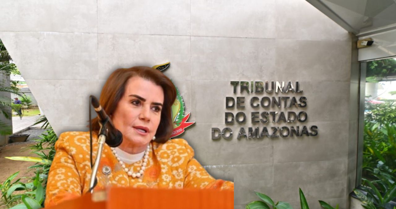 Yara Lins deixa mais de 4 processos