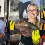 David Almeida deixa Prefeitura hoje para sua jogada mais ousada, levando junto as pedras no sapato