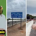 David Almeida desmente que vai desistir de pré-candidatura