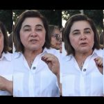 Semana da Amizade entre Animais e Tutores: o que os políticos brasileiros pensam sobre a população?