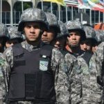 Semana da Amizade entre Animais e Tutores: o que os políticos brasileiros pensam sobre a população?